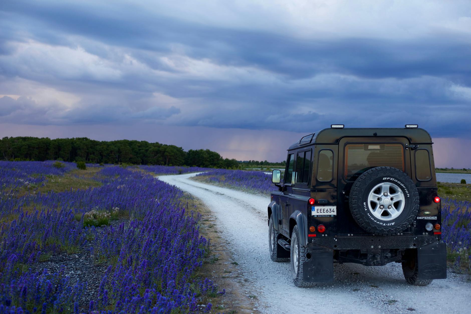 Car Insurance in Sweden and Europe: A Comprehensive Guide